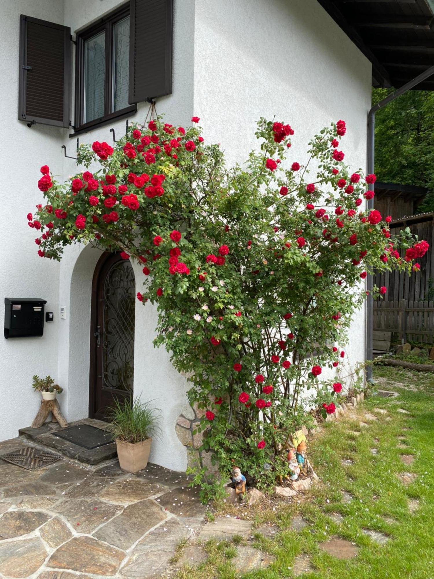 Ferienwohnung Laimer, Radau 37 Saint Wolfgang Buitenkant foto