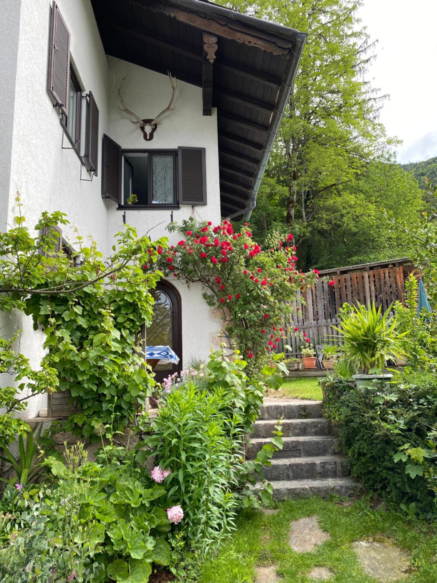 Ferienwohnung Laimer, Radau 37 Saint Wolfgang Buitenkant foto
